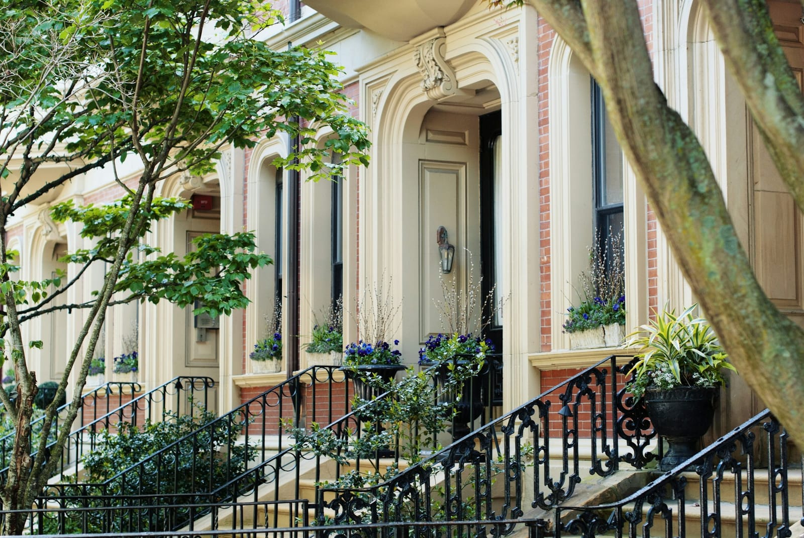A brownstone entrance with steps and greenery